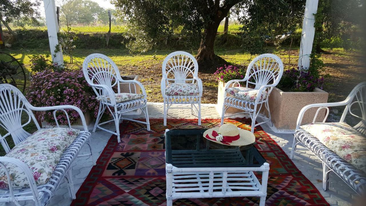 Agriturismo Heaven Капо-Ватикано Екстер'єр фото